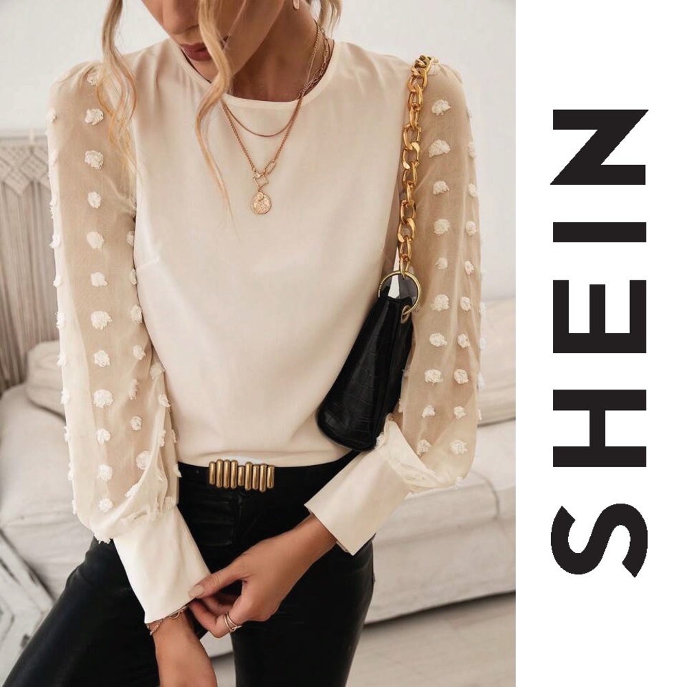 SHEIN Swiss Dot Long Sleeve Blouse